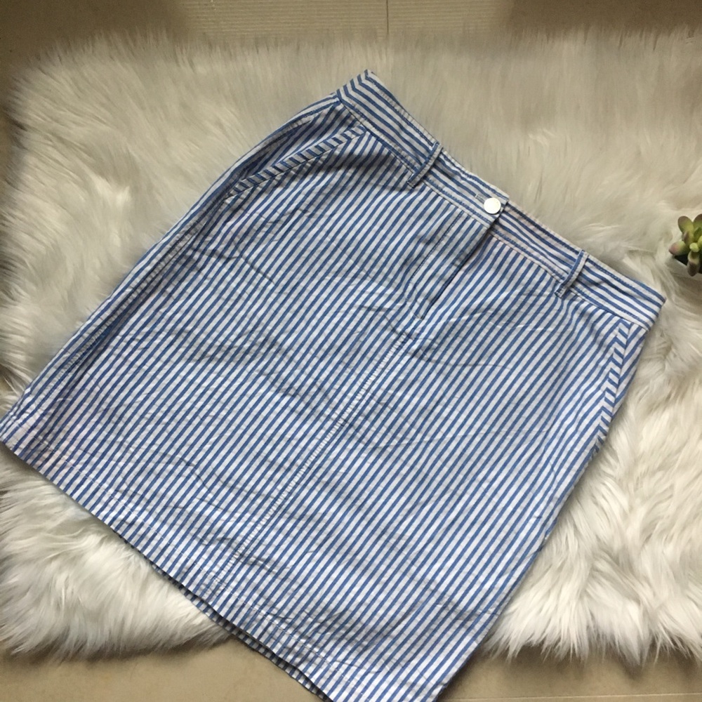 Talbots Skirt